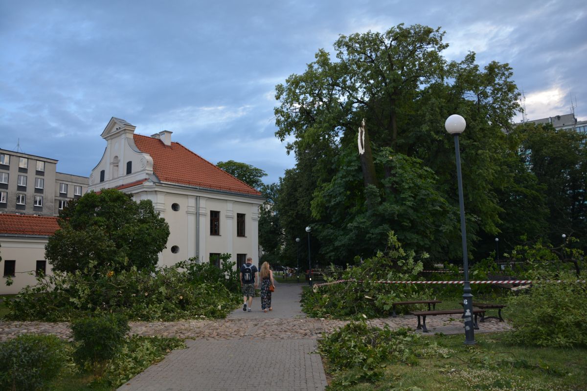 burza2.jpg