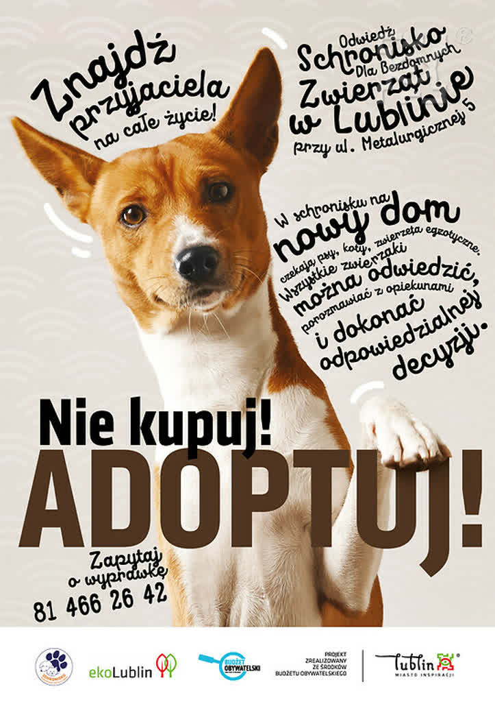 plakat_nie_kupuj_adoptuj,klOWfqWibGpC785HlXs.jpg