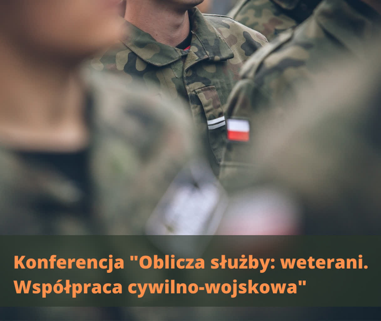 konferencja_natures_of_service_veterans._civilian_-_military_cooperation.png
