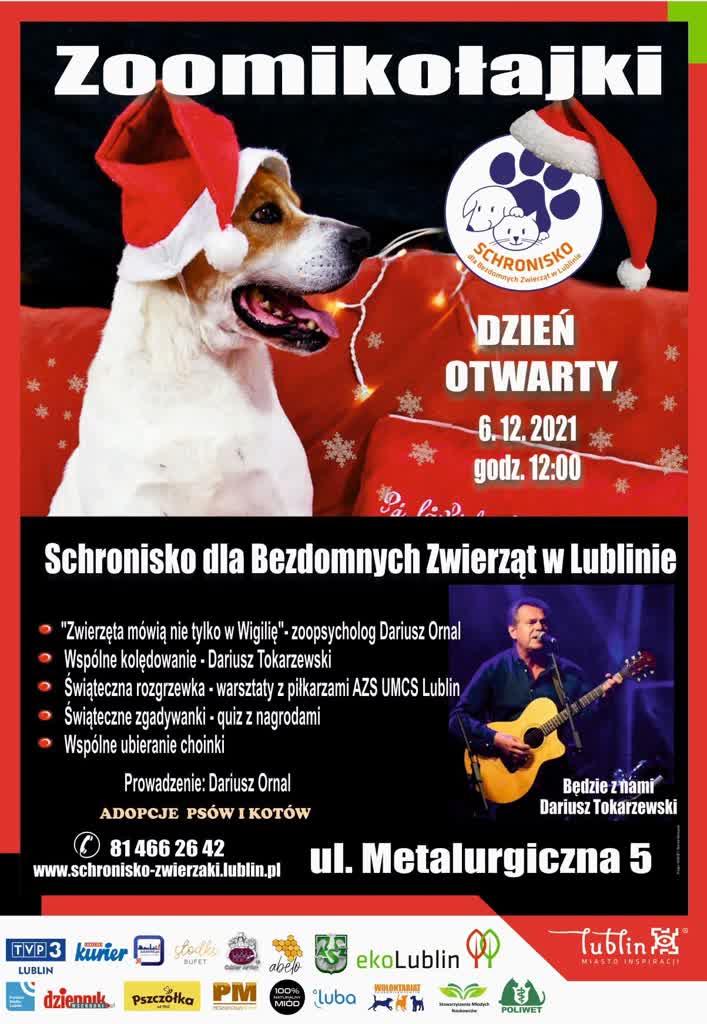 zoomikolajki2021ok1200.jpg