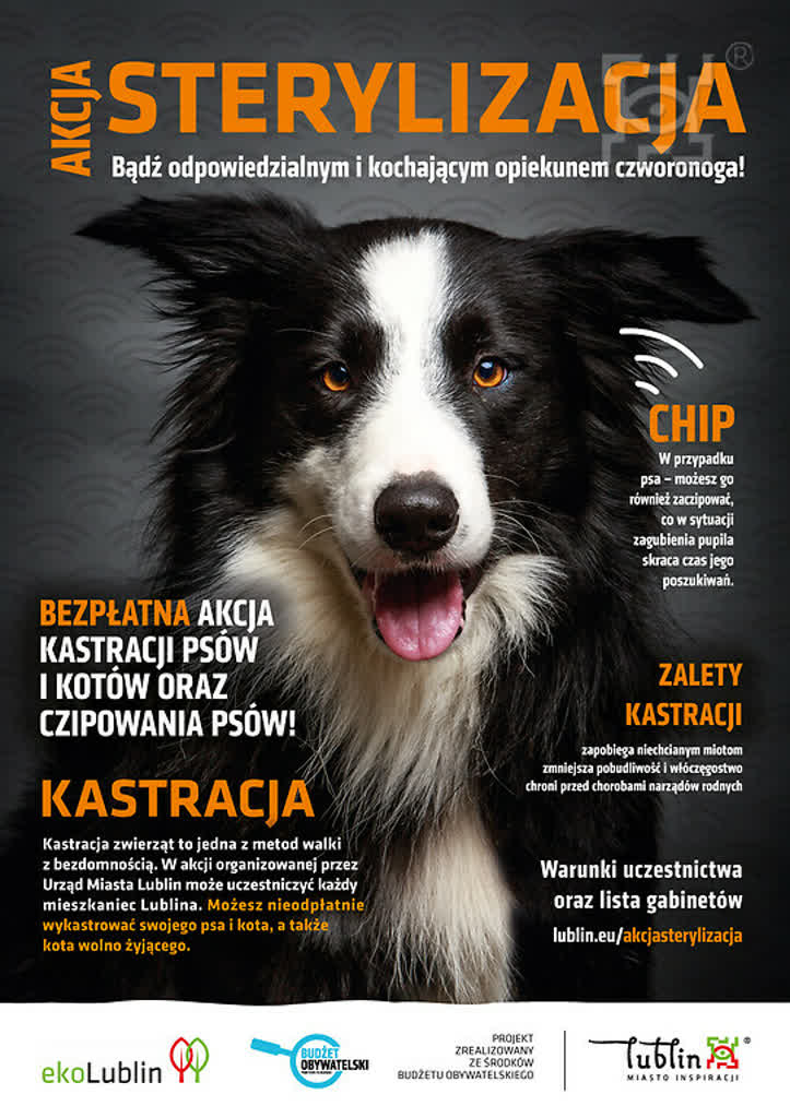 akcja_bezplatnej_sterylizacji_psow_i_kotow,klOWfqWibGpC785HlXs.jpg
