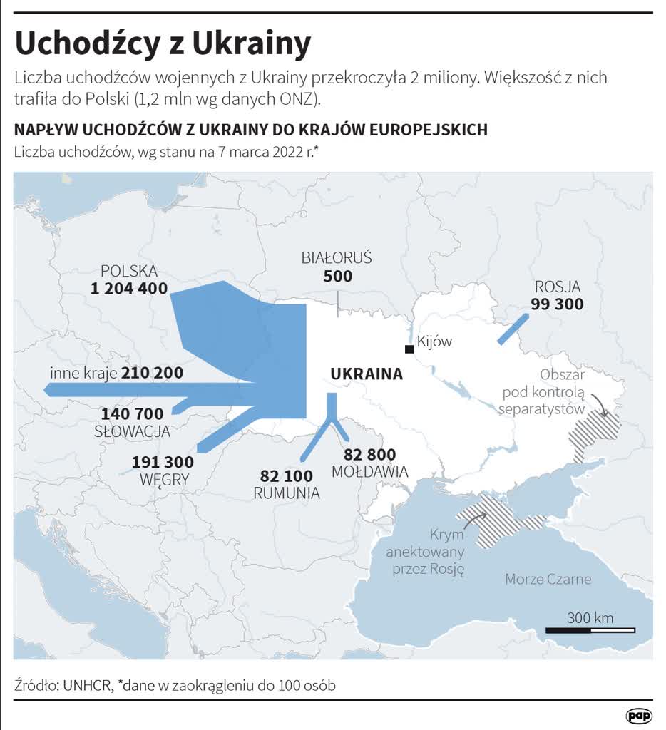 infografa.jpg