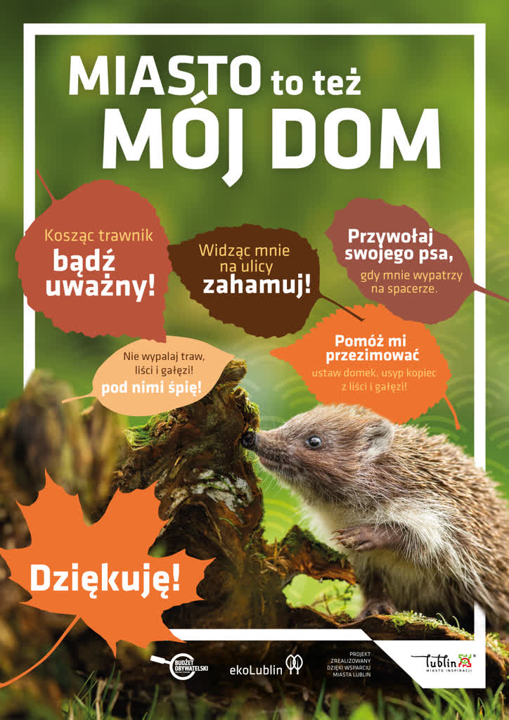 Plakat_Jeże.jpg