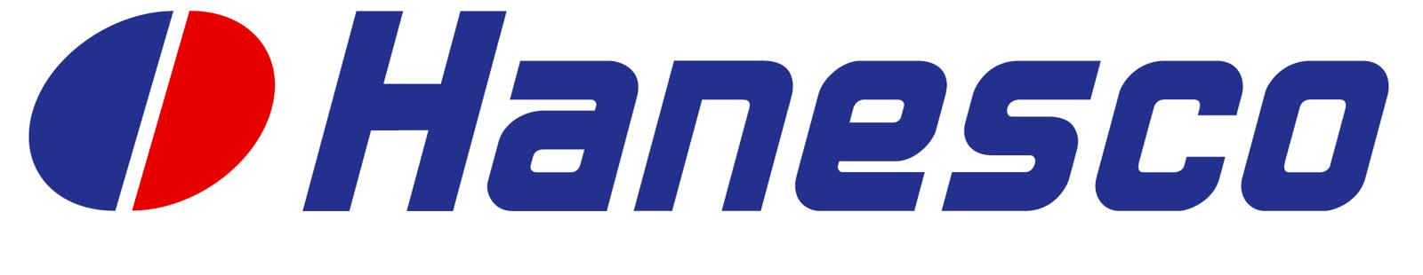 hanesco logo plaskie 2D RGB_PNG.png